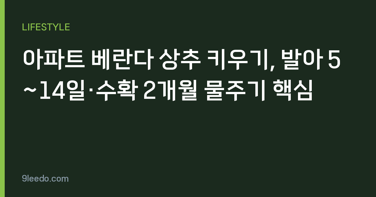 아파트 베란다 상추 키우기, 발아 5~14일·수확 2개월 물주기 핵심