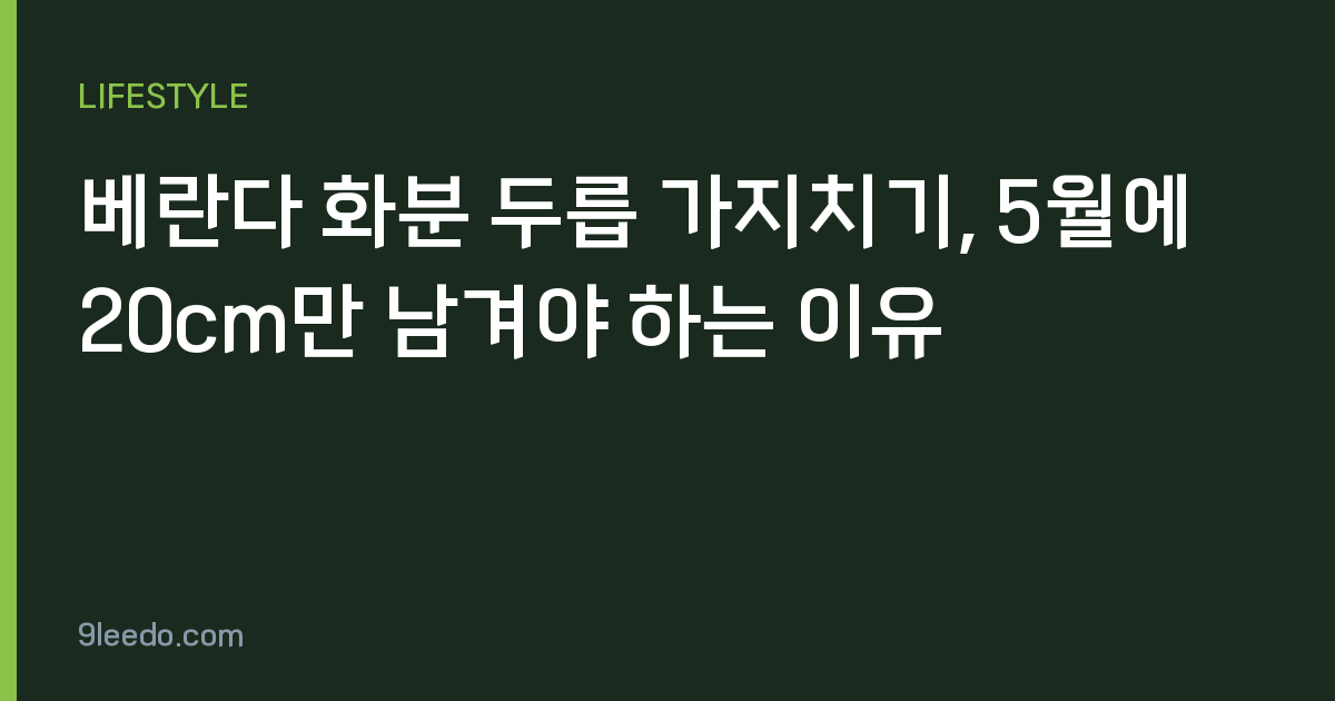 베란다 화분 두릅 가지치기, 5월에 20cm만 남겨야 하는 이유