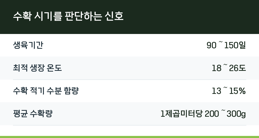 수확 시기를 판단하는 신호