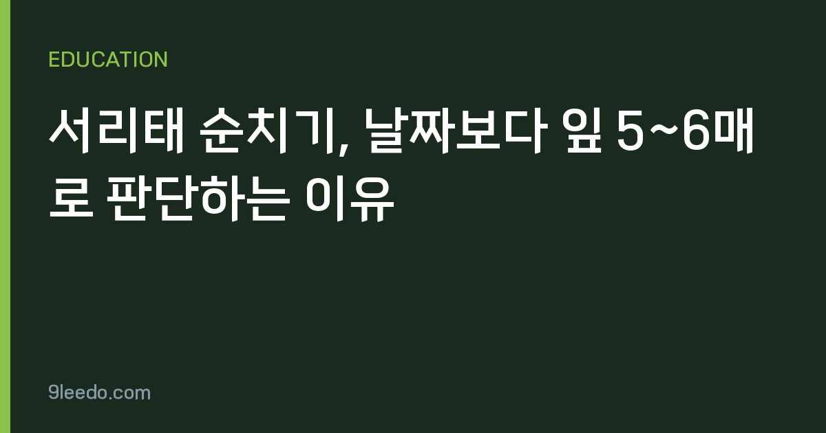 서리태 순치기, 날짜보다 잎 5~6매로 판단하는 이유