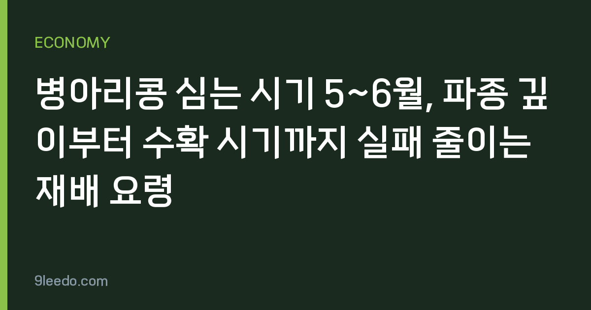 병아리콩 심는 시기 5~6월, 파종 깊이부터 수확 시기까지 실패 줄이는 재배 요령