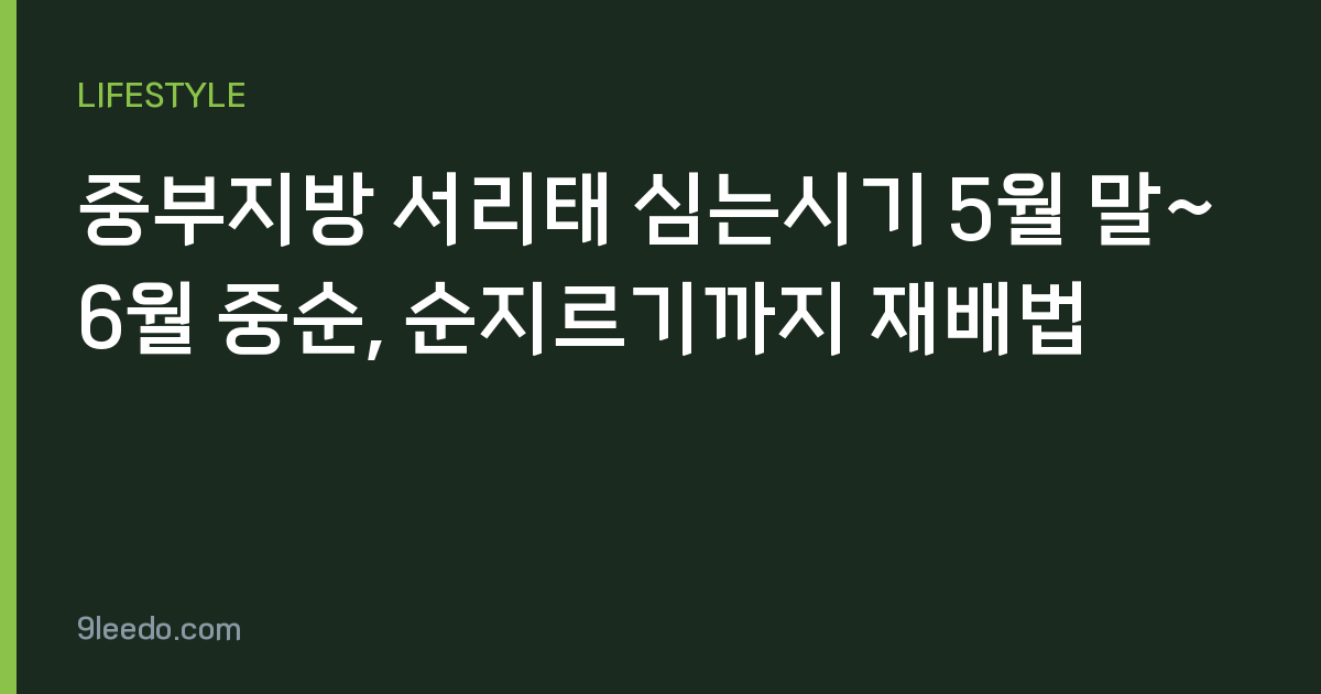 중부지방 서리태 심는시기 5월 말~6월 중순, 순지르기까지 재배법