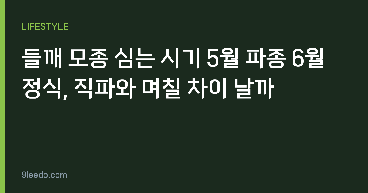 들깨 모종 심는 시기 5월 파종 6월 정식, 직파와 며칠 차이 날까