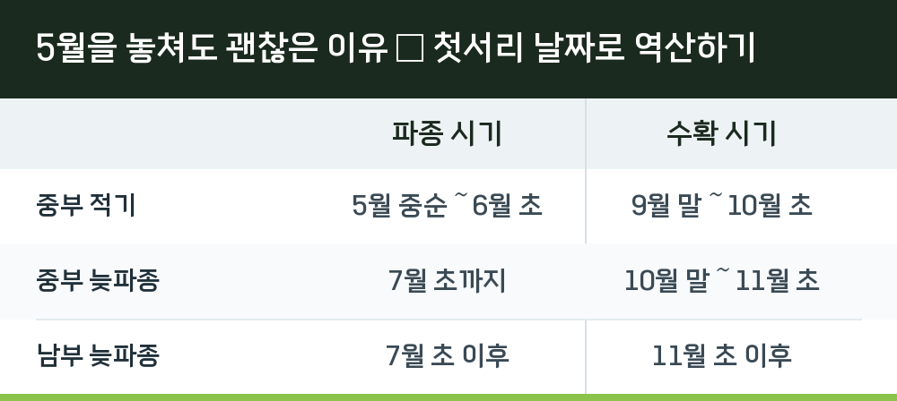 5월을 놓쳐도 괜찮은 이유 — 첫서리 날짜로 역산하기