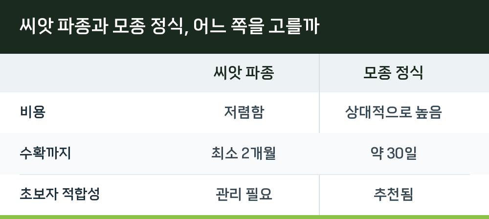 씨앗 파종과 모종 정식, 어느 쪽을 고를까