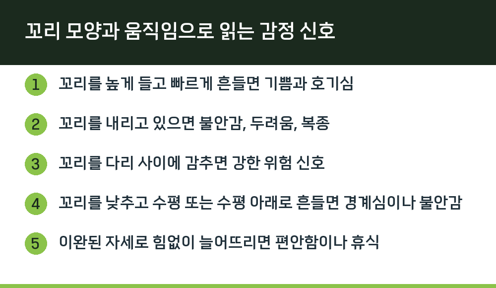 꼬리 모양과 움직임으로 읽는 감정 신호