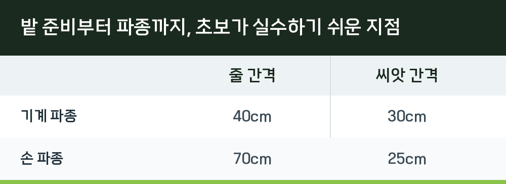밭 준비부터 파종까지, 초보가 실수하기 쉬운 지점