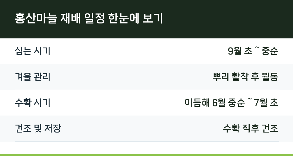 홍산마늘 재배 일정 한눈에 보기