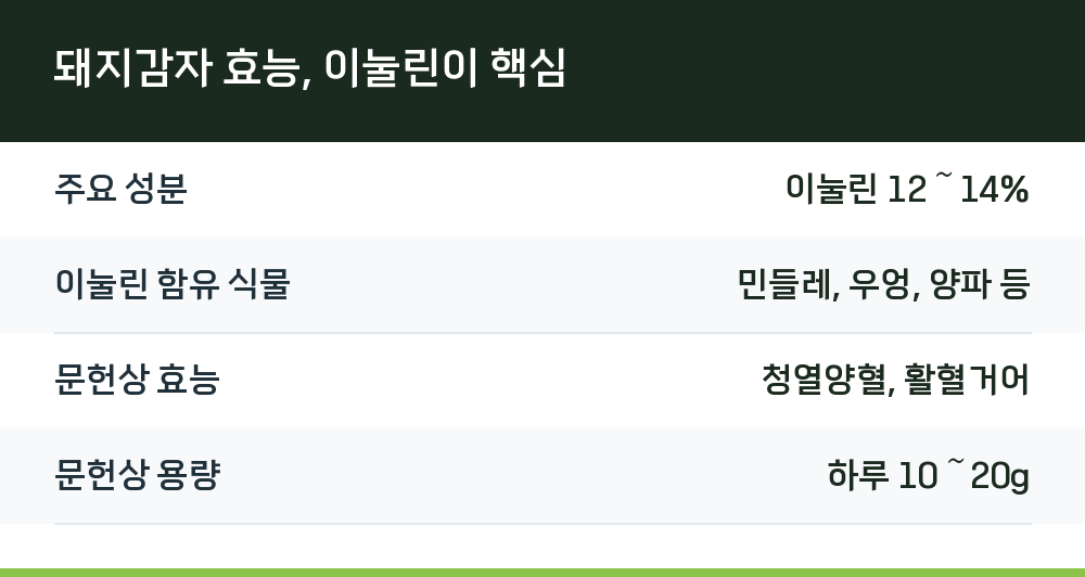 돼지감자 효능, 이눌린이 핵심