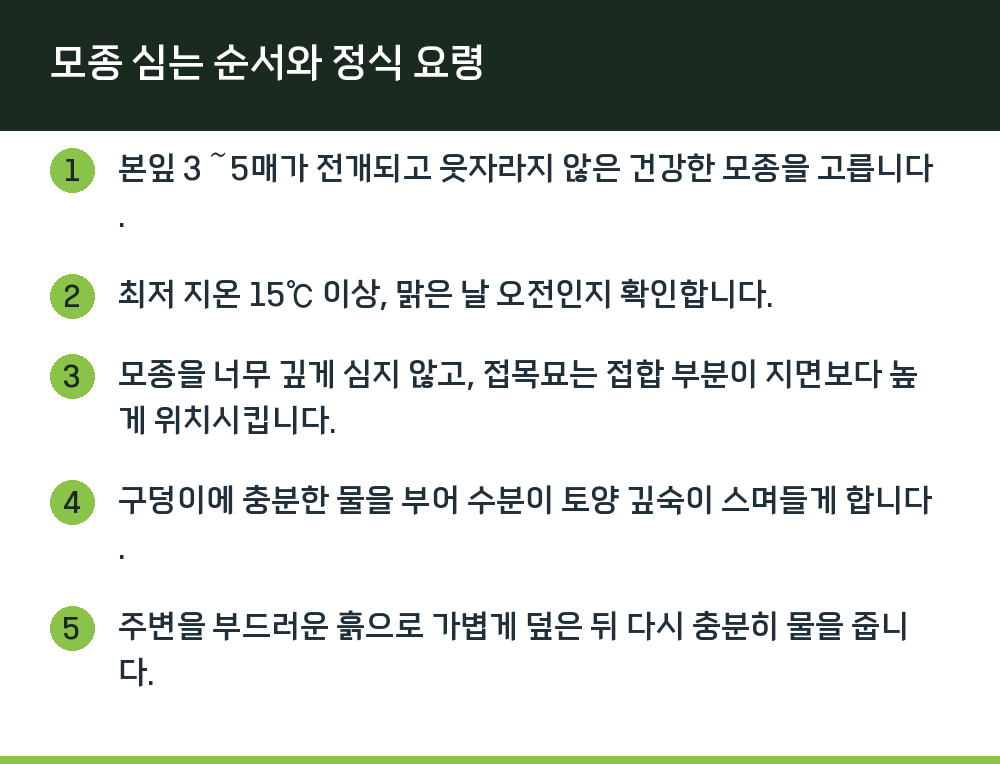 모종 심는 순서와 정식 요령