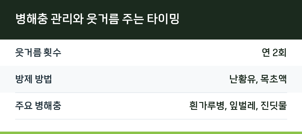 병해충 관리와 웃거름 주는 타이밍