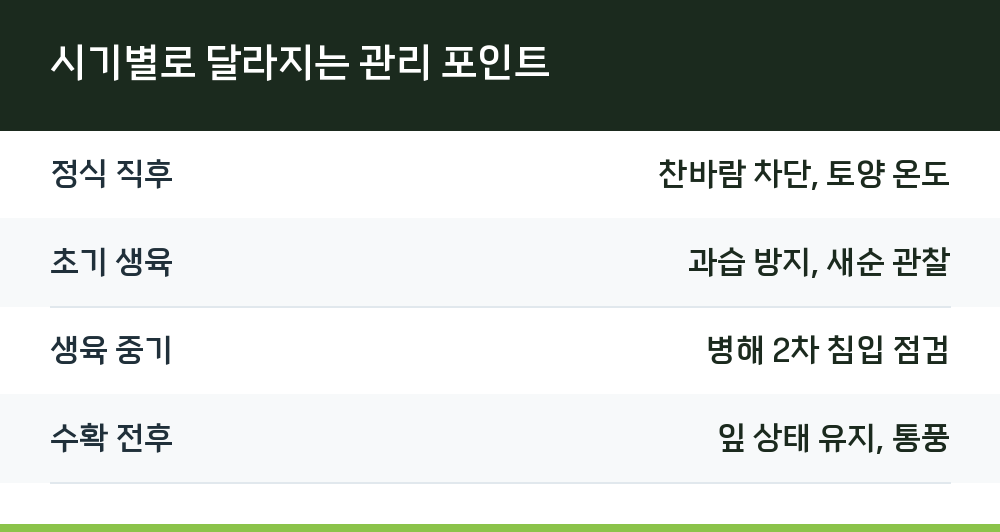 시기별로 달라지는 관리 포인트