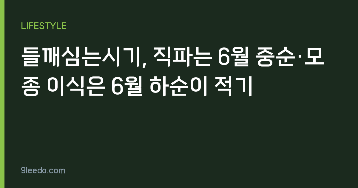 들깨심는시기, 직파는 6월 중순·모종 이식은 6월 하순이 적기