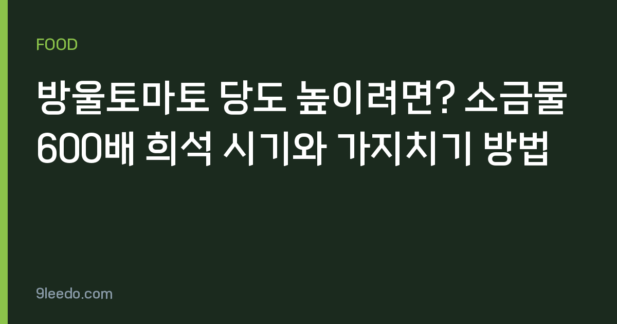 방울토마토 당도 높이려면? 소금물 600배 희석 시기와 가지치기 방법