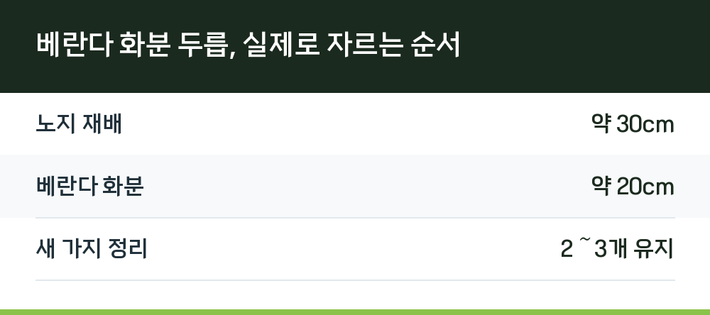 베란다 화분 두릅, 실제로 자르는 순서