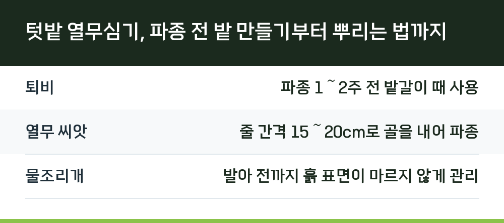 텃밭 열무심기, 파종 전 밭 만들기부터 뿌리는 법까지