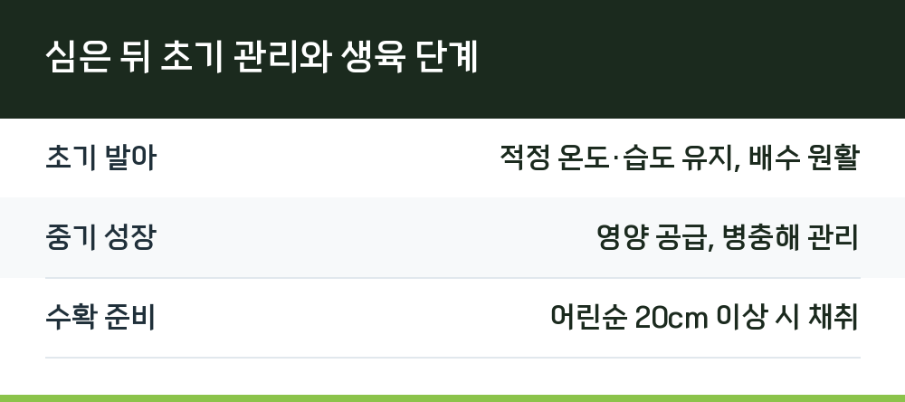 심은 뒤 초기 관리와 생육 단계