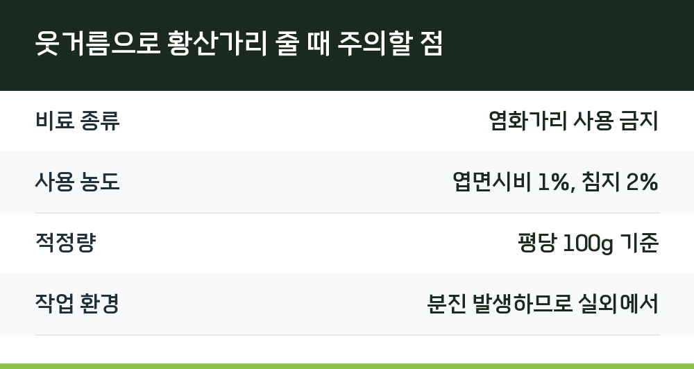 웃거름으로 황산가리 줄 때 주의할 점