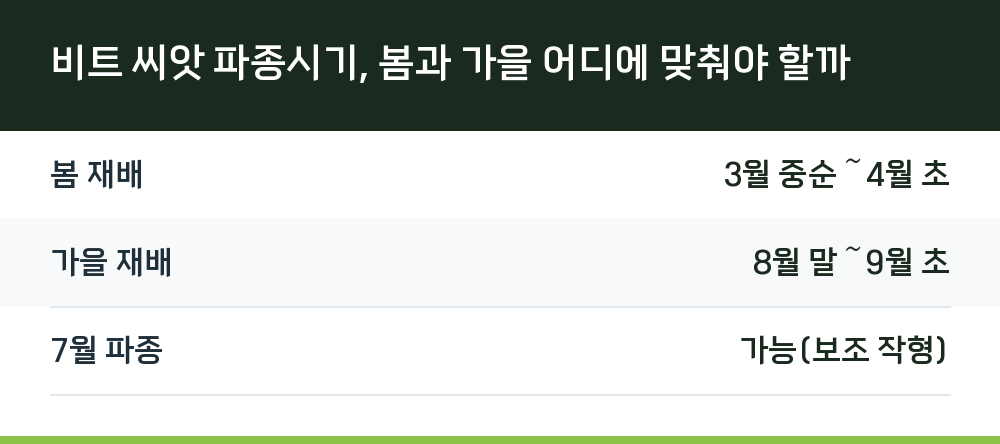 비트 씨앗 파종시기, 봄과 가을 어디에 맞춰야 할까