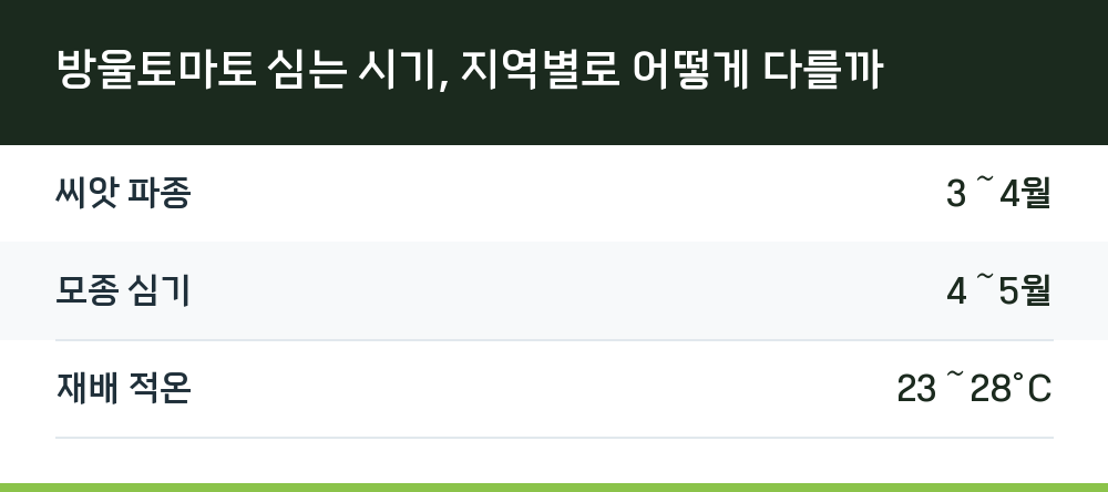 방울토마토 심는 시기, 지역별로 어떻게 다를까
