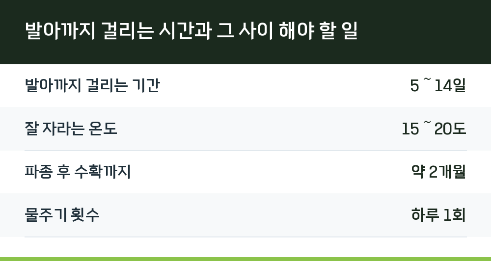 발아까지 걸리는 시간과 그 사이 해야 할 일
