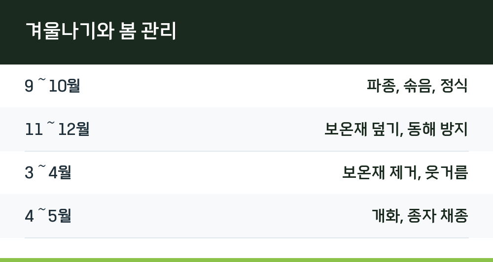 겨울나기와 봄 관리