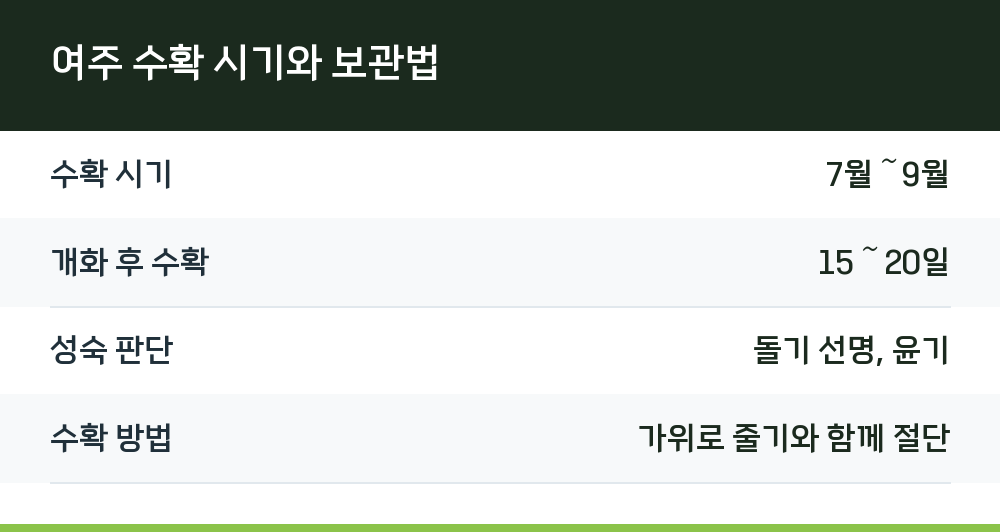 여주 수확 시기와 보관법