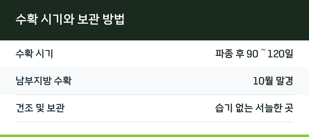 수확 시기와 보관 방법
