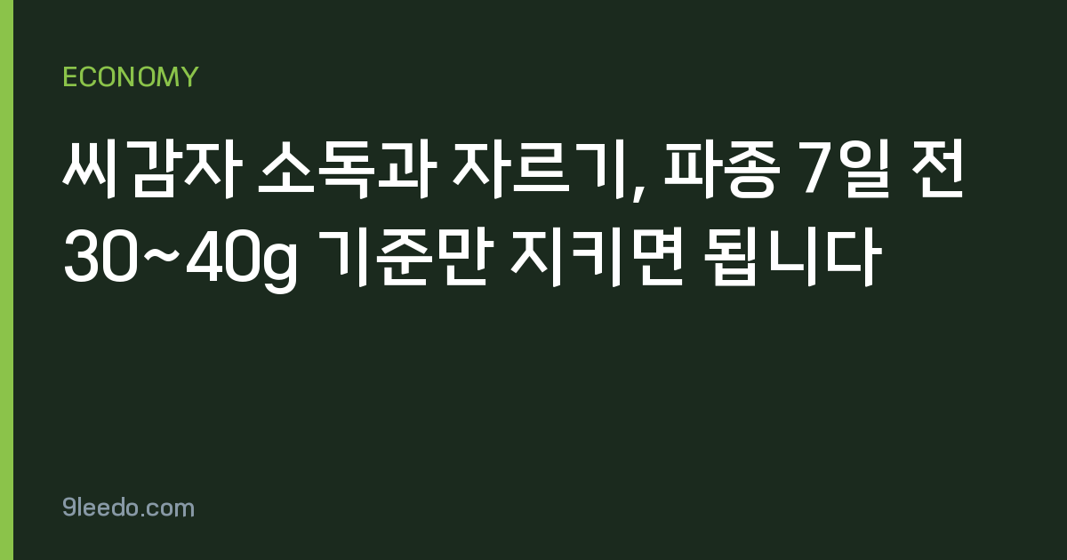 씨감자 소독과 자르기, 파종 7일 전 30~40g 기준만 지키면 됩니다