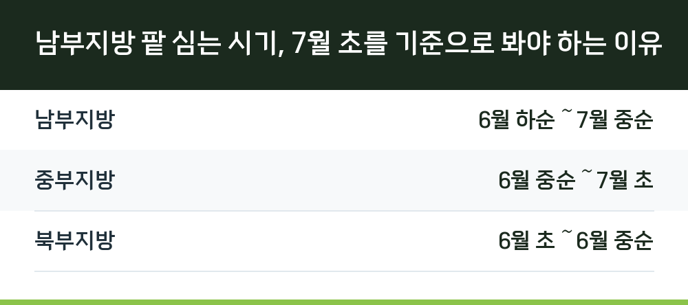 남부지방 팥 심는 시기, 7월 초를 기준으로 봐야 하는 이유