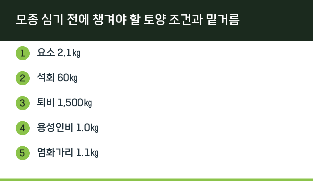 모종 심기 전에 챙겨야 할 토양 조건과 밑거름