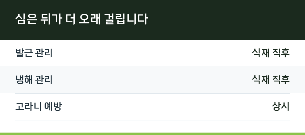 심은 뒤가 더 오래 걸립니다