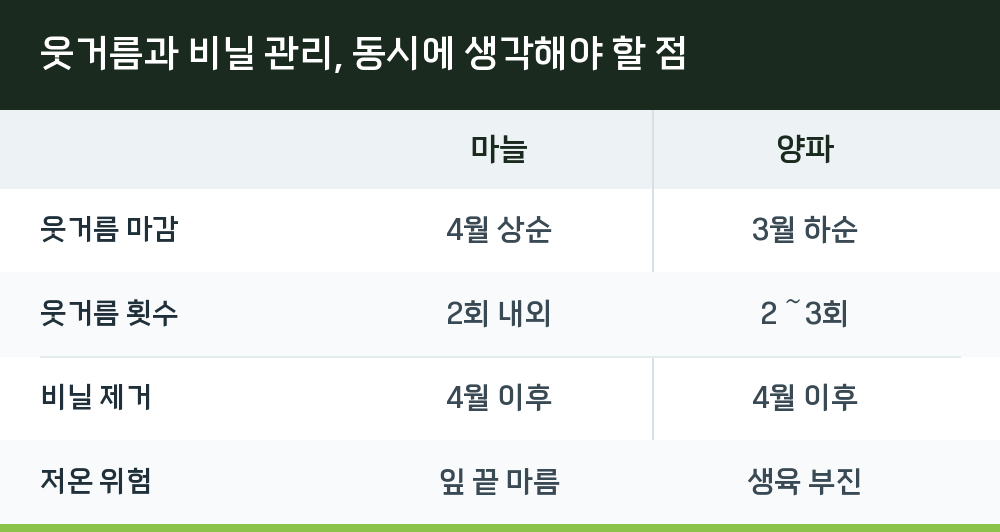 웃거름과 비닐 관리, 동시에 생각해야 할 점