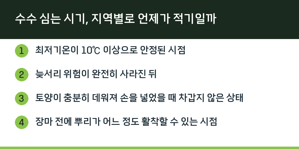 수수 심는 시기, 지역별로 언제가 적기일까