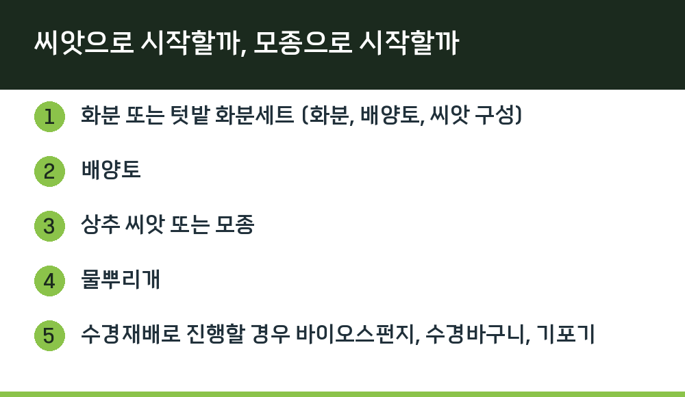 씨앗으로 시작할까, 모종으로 시작할까