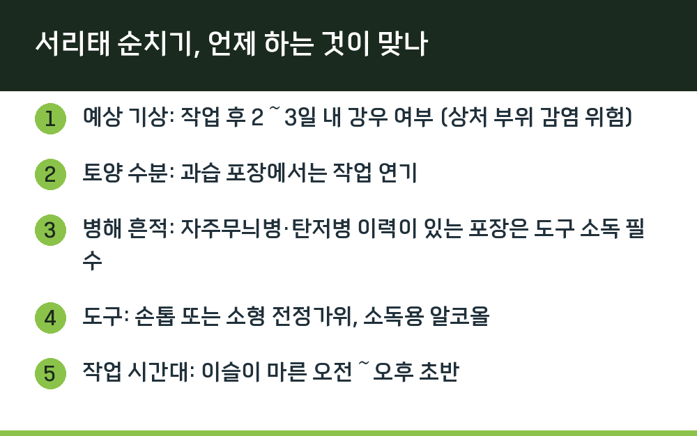 서리태 순치기, 언제 하는 것이 맞나