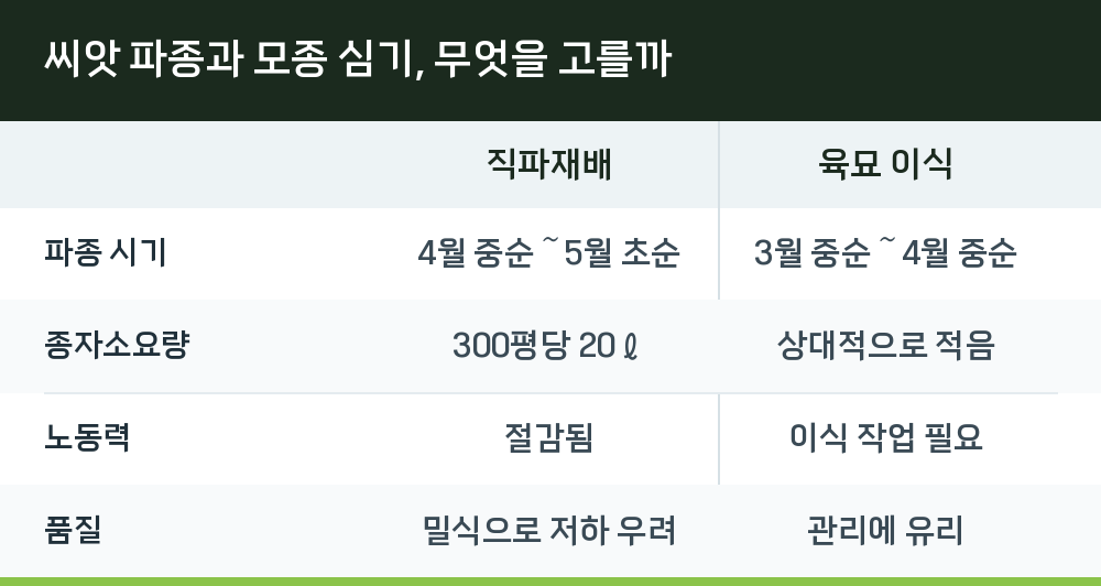 씨앗 파종과 모종 심기, 무엇을 고를까