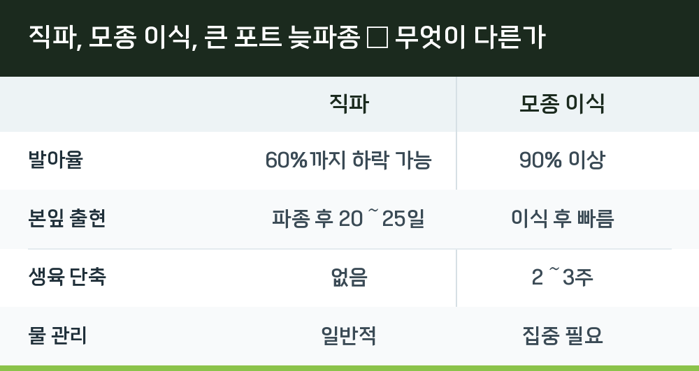 직파, 모종 이식, 큰 포트 늦파종 — 무엇이 다른가
