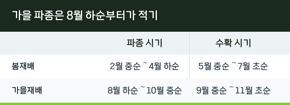 가을 파종은 8월 하순부터가 적기
