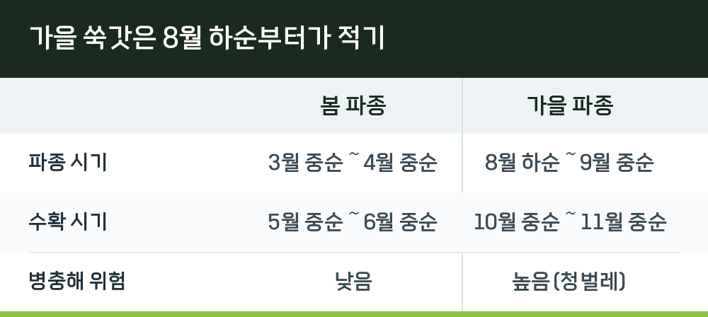 가을 쑥갓은 8월 하순부터가 적기