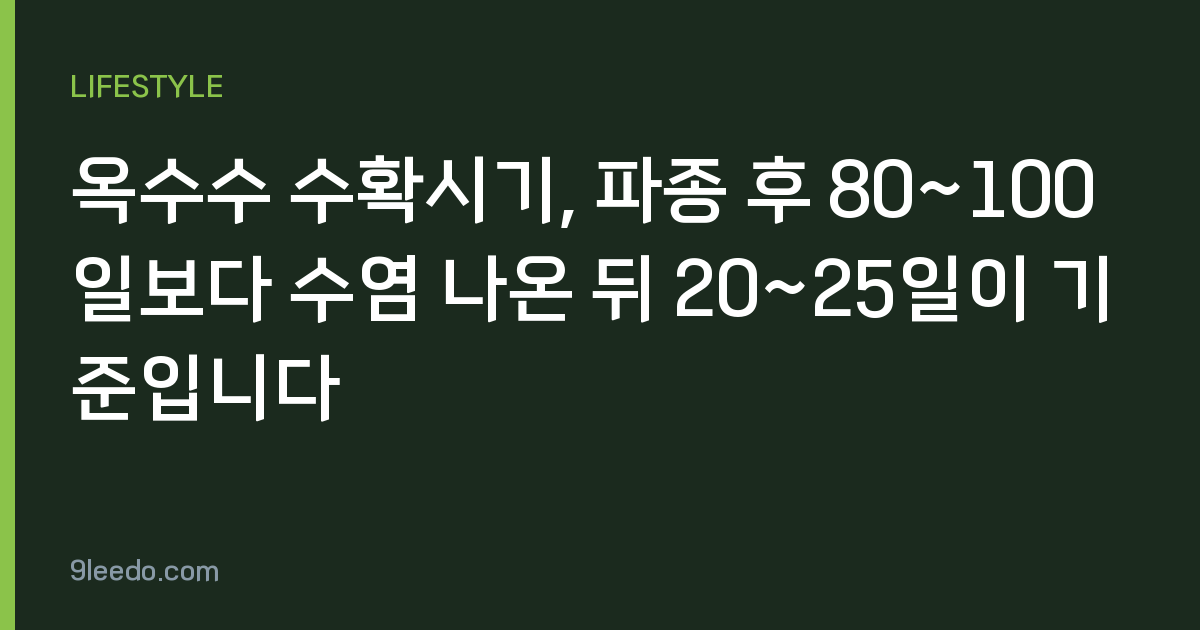 옥수수 수확시기, 파종 후 80~100일보다 수염 나온 뒤 20~25일이 기준입니다