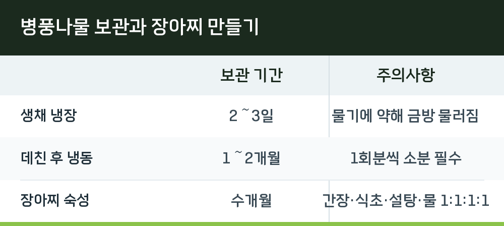 병풍나물 보관과 장아찌 만들기