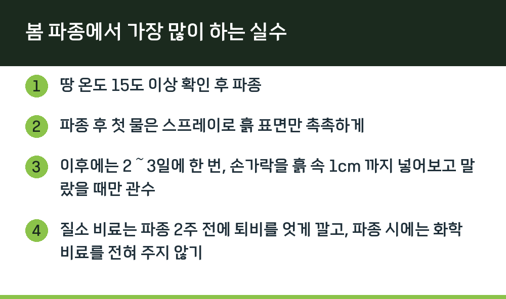 봄 파종에서 가장 많이 하는 실수