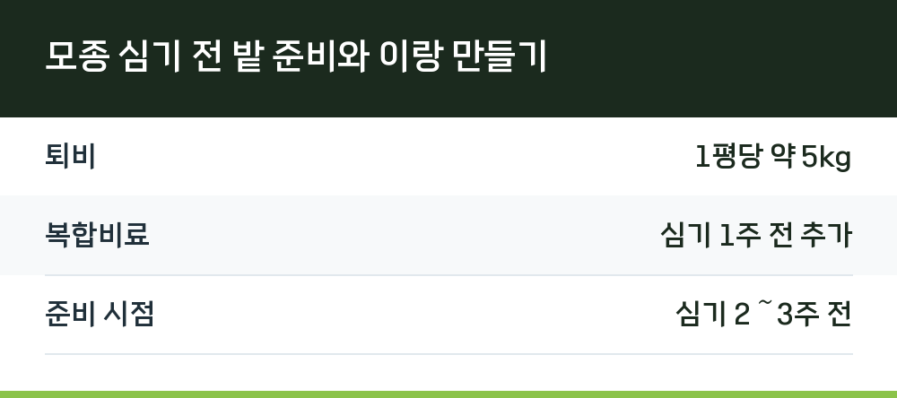 모종 심기 전 밭 준비와 이랑 만들기