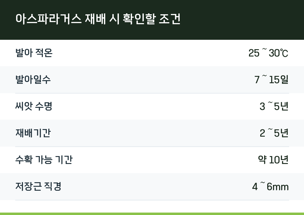 아스파라거스 재배 시 확인할 조건