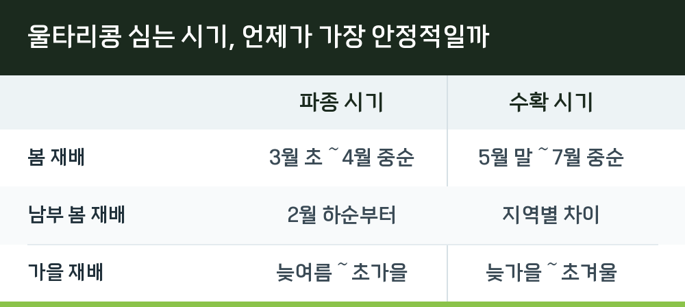 울타리콩 심는 시기, 언제가 가장 안정적일까
