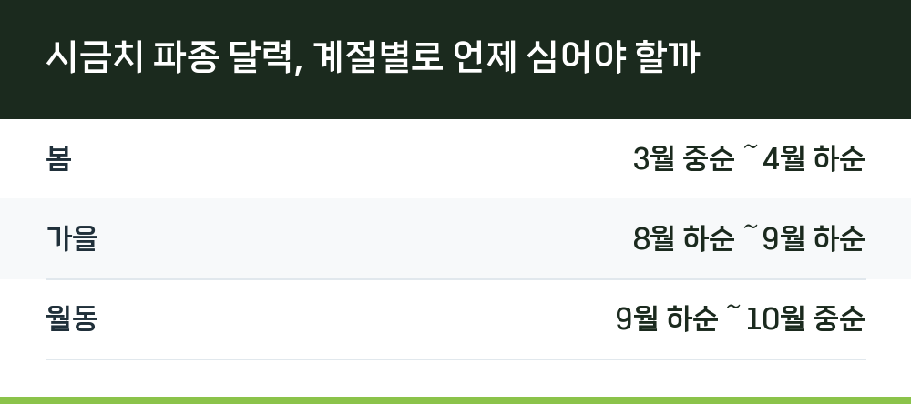 시금치 파종 달력, 계절별로 언제 심어야 할까