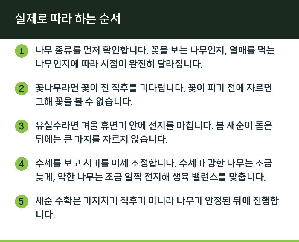 실제로 따라 하는 순서