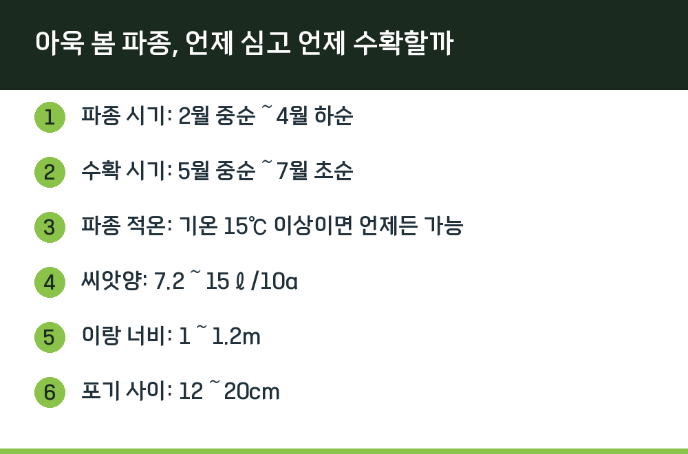 아욱 봄 파종, 언제 심고 언제 수확할까