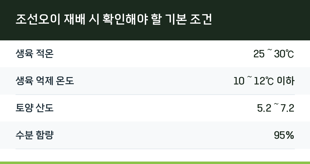 조선오이 재배 시 확인해야 할 기본 조건